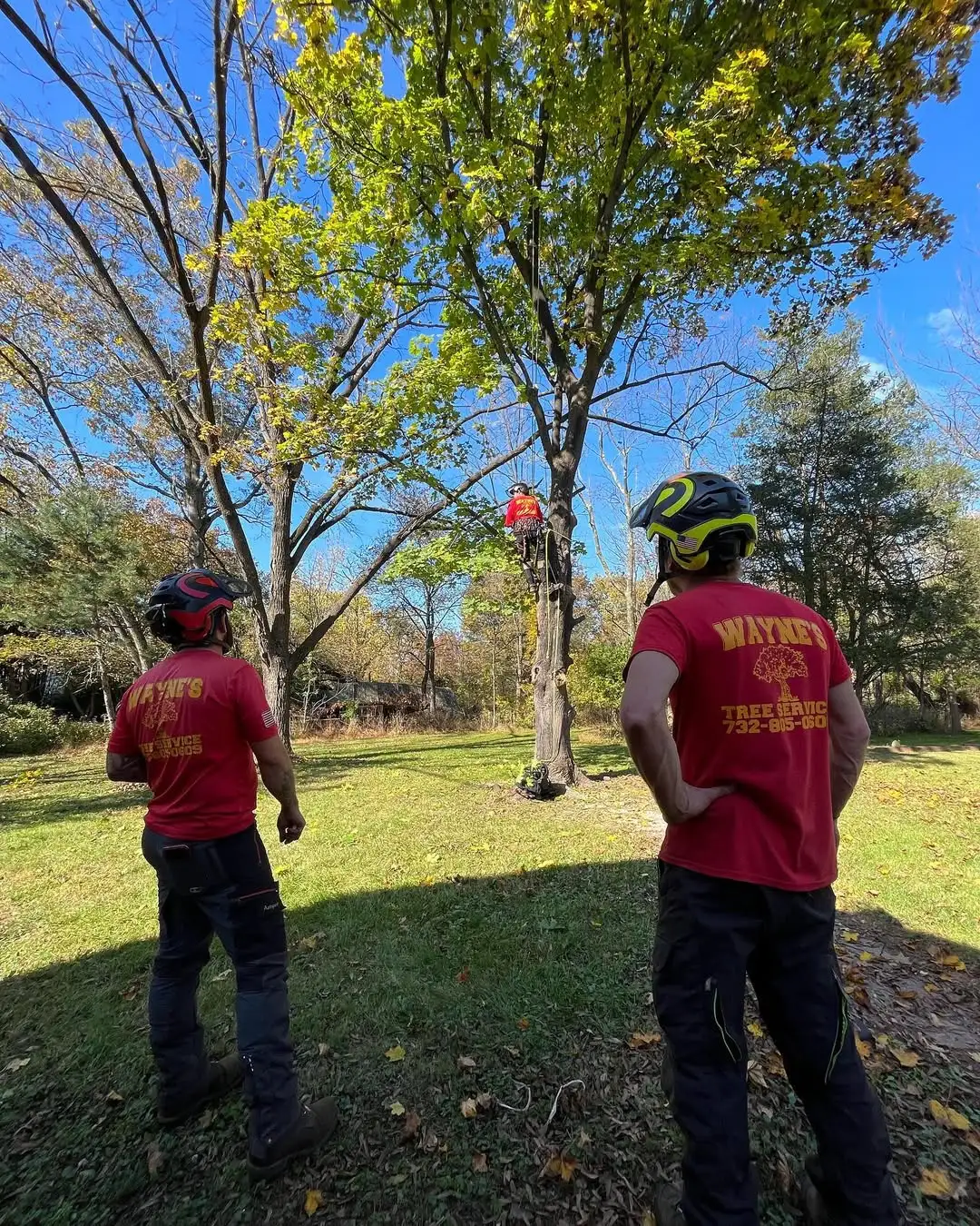 Wayne's Tree Service crew clearing a storm-damaged tree at night