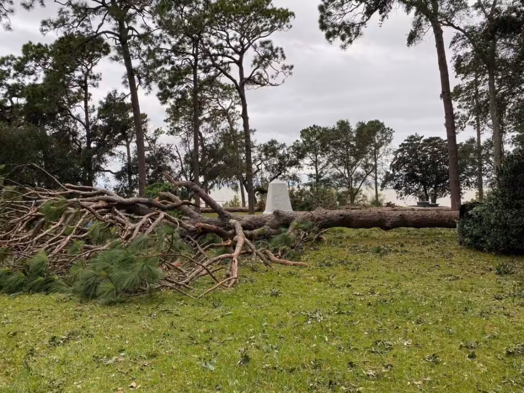 Wayne’s crew assessing storm-damaged trees after a New Jersey storm