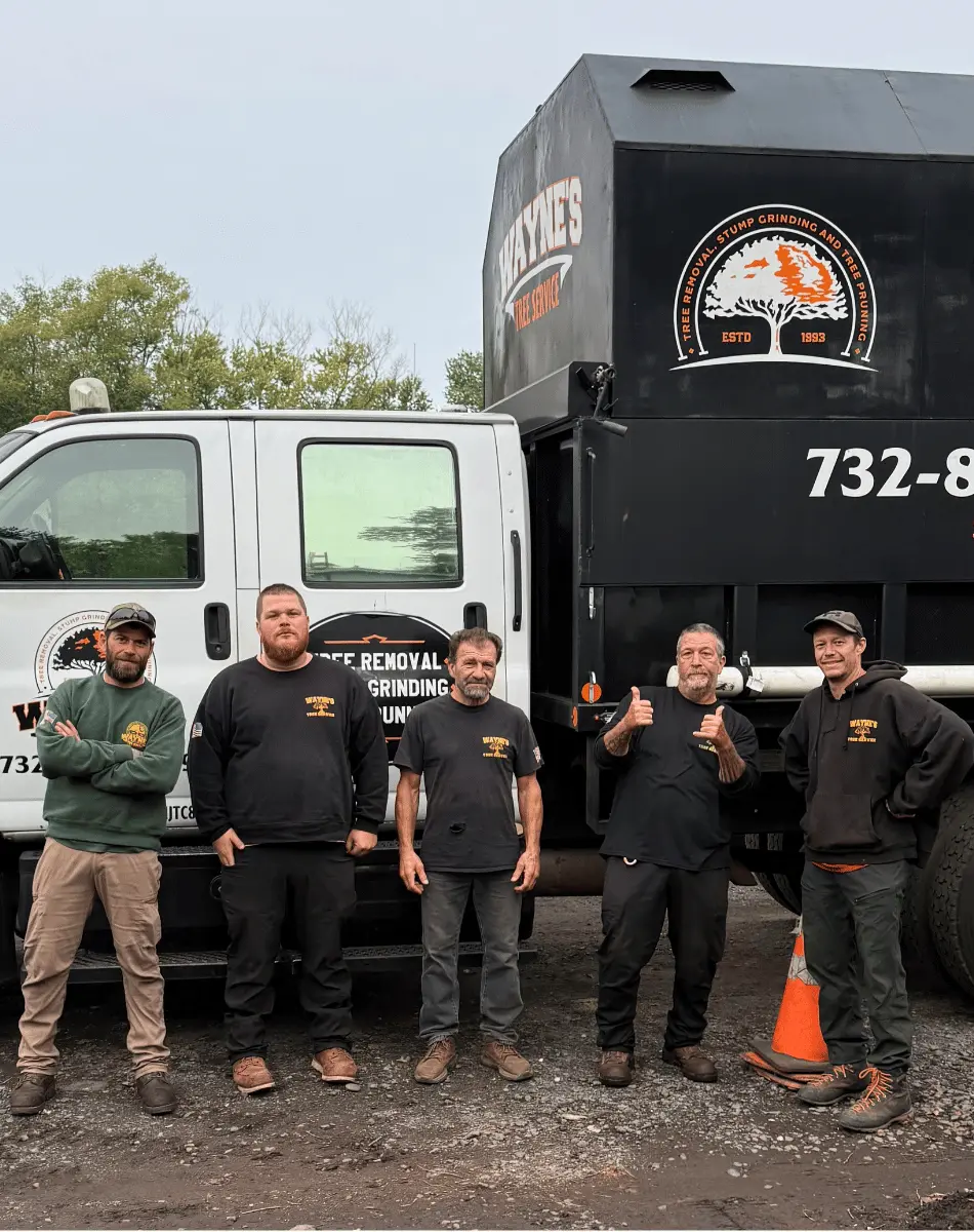 The veteran-owned Wayne's Tree Service crew in Somerville, NJ