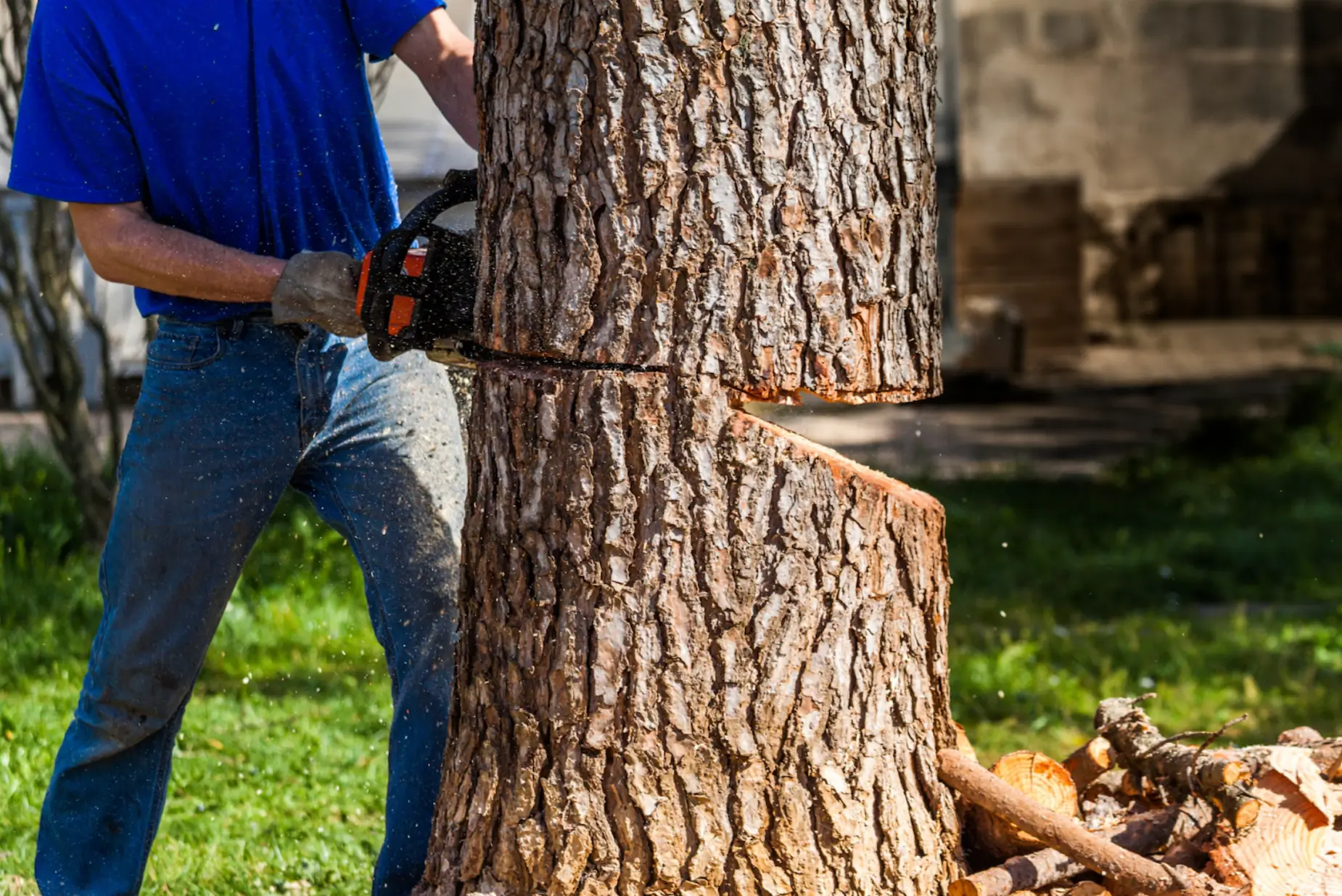 What Factors Affect Tree Removal Cost in NJ