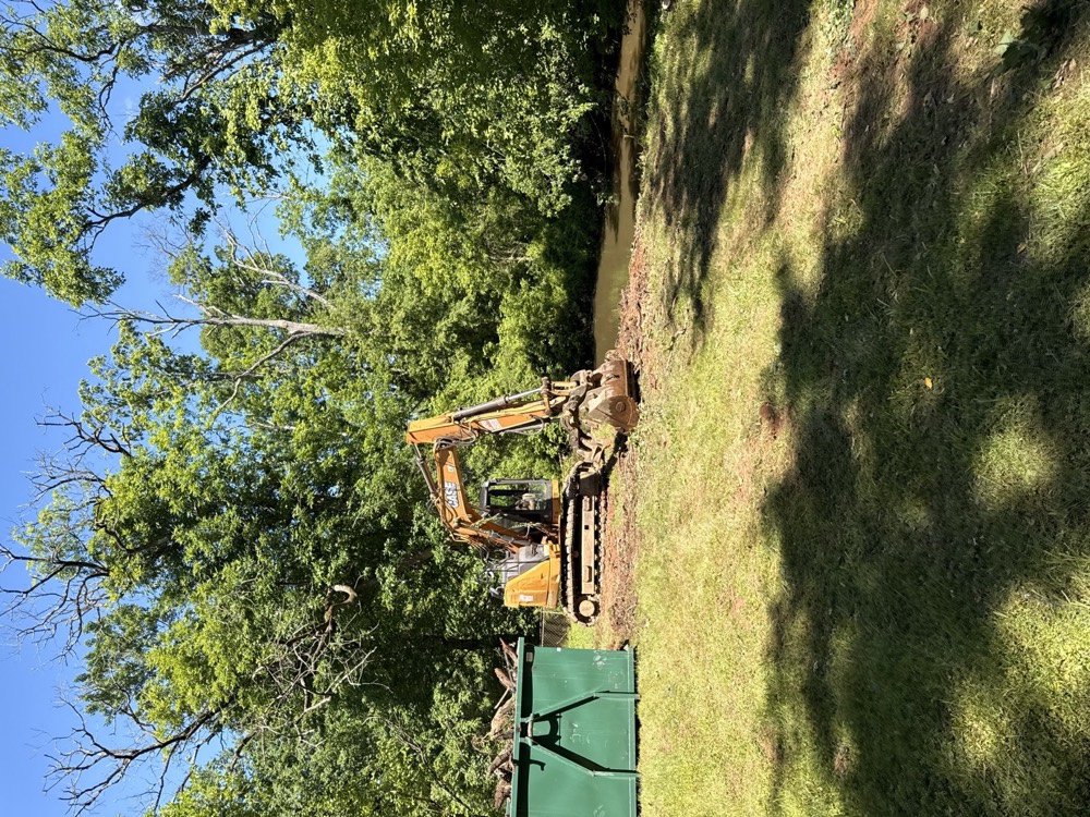 Excavator and debris container on a lawn during a clearing job