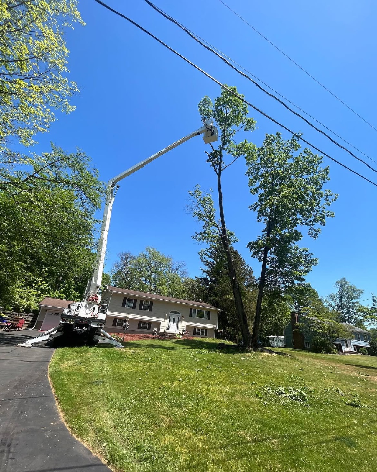 Bucket truck boom extended to a tree beside a house