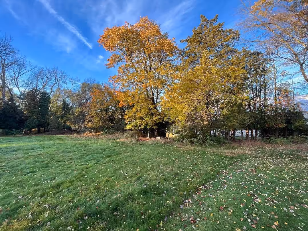 Open lawn area prepared for new tree and shrub planting