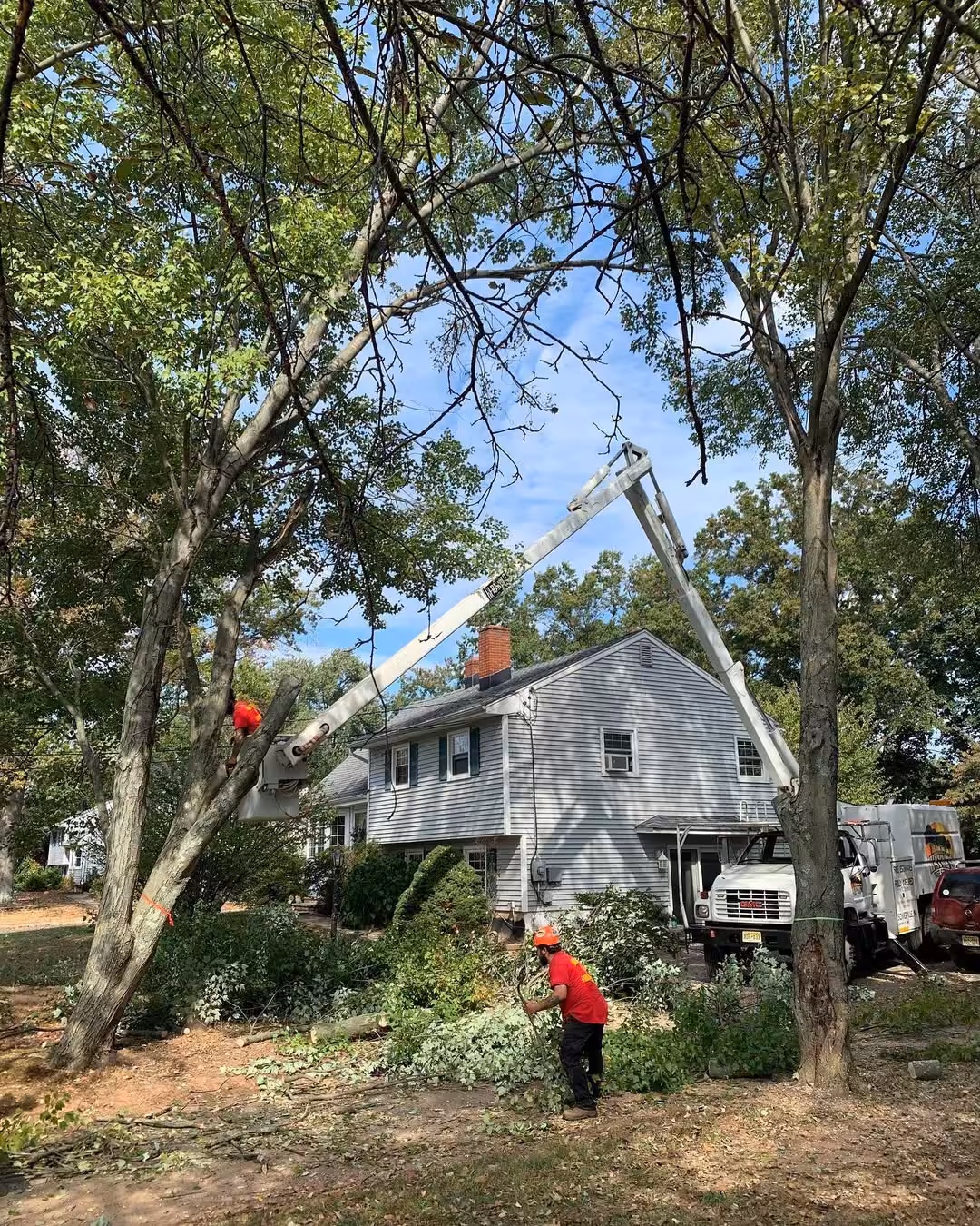 Residential tree removal completed in Garwood NJ
