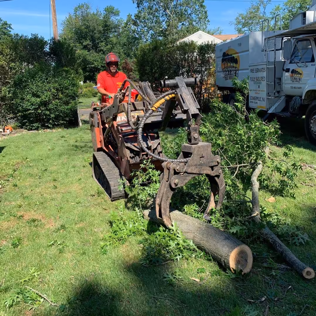 Crew member moving a cut log with a tracked machine