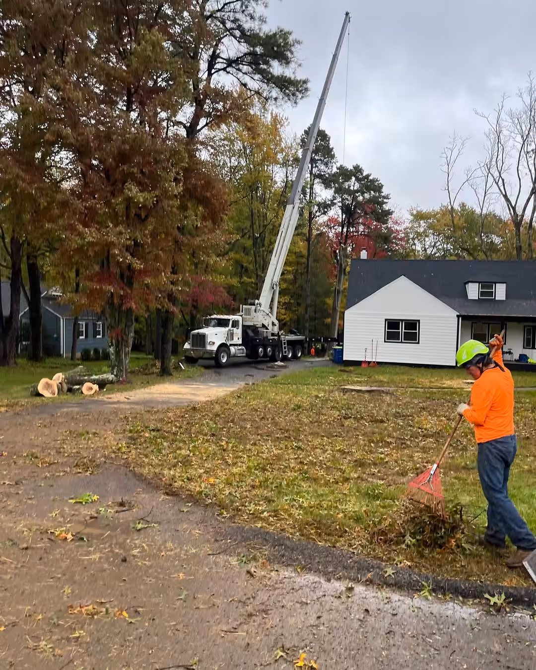 Crew member clearing debris from a lawn after tree work