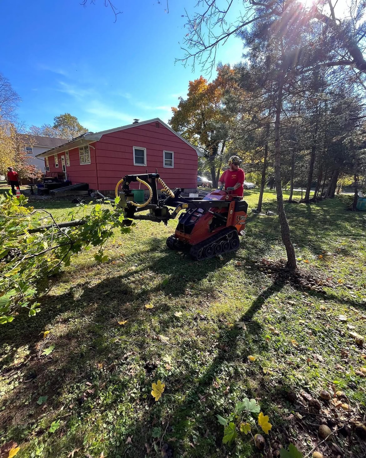 Wayne's Tree Service crew working at ground level with compact equipment