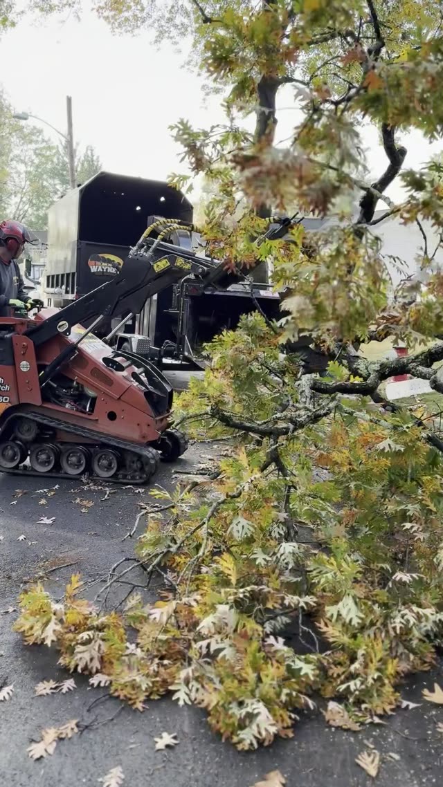 Ditch Witch Skid Steer and Wood Chipping Operations