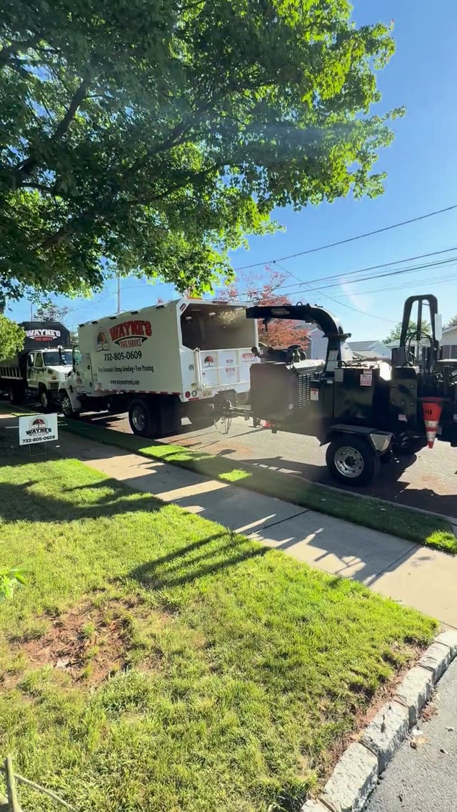 Ground Crew Feeding Large Tree Limbs into Commercial Wood Chipper